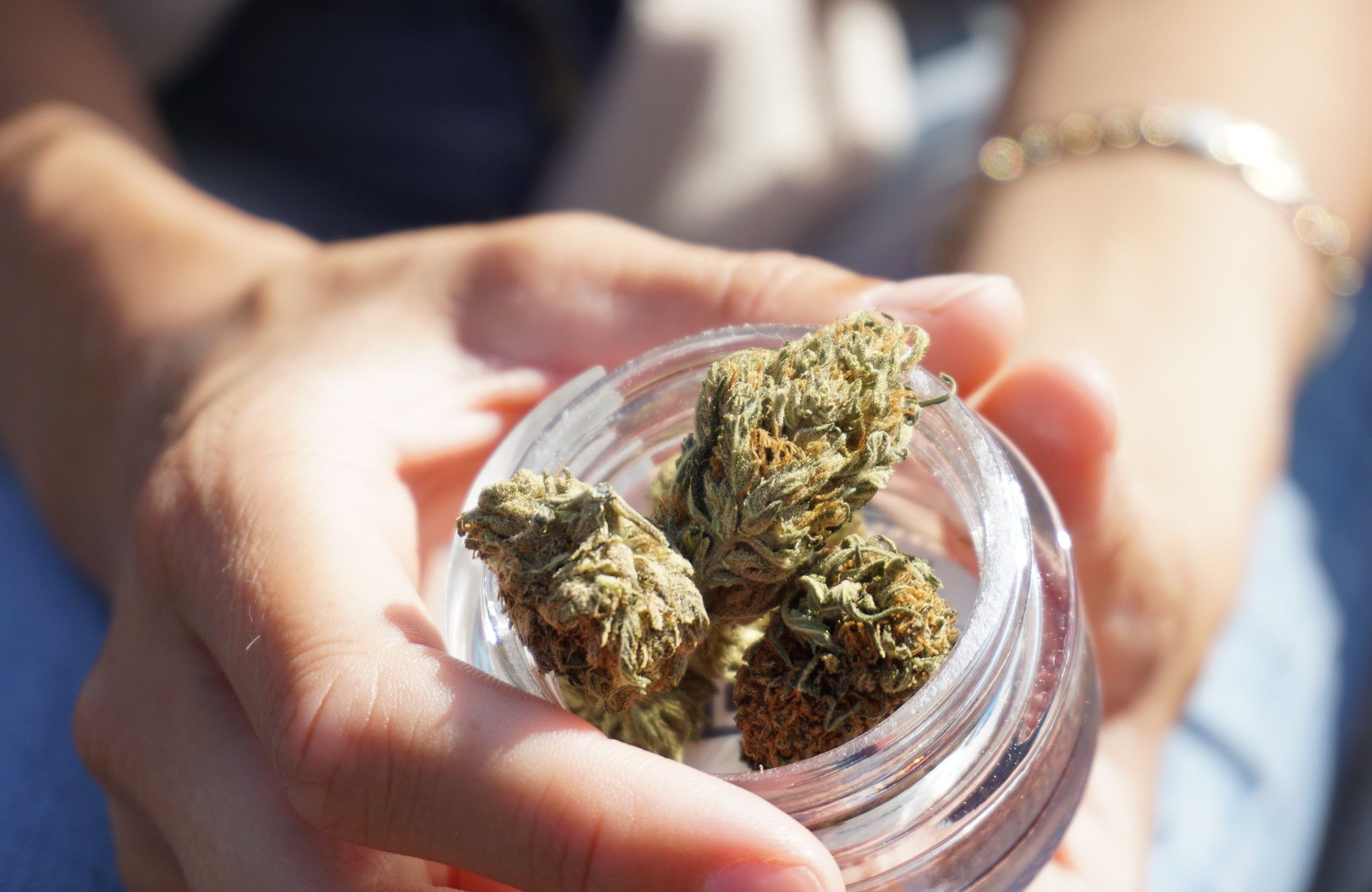 medyczna marihuana